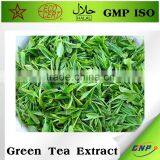 BNP Professional Supplier Organic Green Tea Extract thumbnail-5