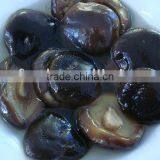 Whole Canned Shiitake
