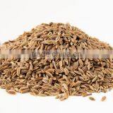 Dill Seeds thumbnail-1