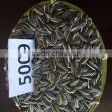 Export American Type Sunflower Seeds thumbnail-4