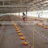 Poultry Farming Automatic Feeding System Manufacturer In China/auger Feed System thumbnail-4
