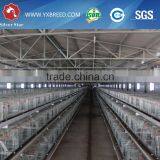 Types of Poultry House With Egg Collection System Machine thumbnail-6