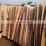 FACTORY PRICE PROFESIONAL SHORT CORE VENEER FOR PLYWOOD thumbnail-2