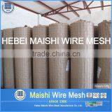 Welded Wire Mesh (28 Years Factory) thumbnail-4