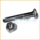 China Supplier Railway Fish Plate Bolt and Nut
