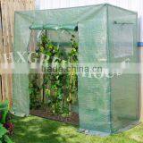 Planting Tomatos in the Tomato Greenhouse thumbnail-1