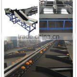 Hot Sale Apple and Orange Grading/Sorting Machine thumbnail-5