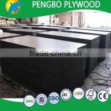 Bridge Plywood for Construction 18mm thumbnail-2