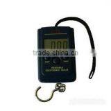 40kg 10g Portable Electronic Scale