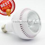 New Arrival 60w Cob Led Par Light With Inside Fan thumbnail-3