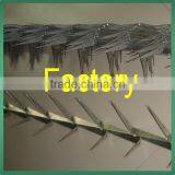 Anti Climb Sharp Wall Spike on Top of Wall and Fence thumbnail-3