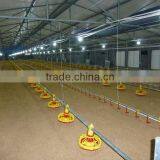 BT Factory Chicken Farming for Broiler Chicken thumbnail-5