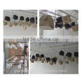 Fashion Realistic Half Head Mannequin for Sunglasses Display thumbnail-1