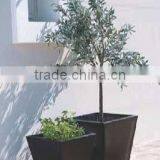 T-flower Vase Vase 27 thumbnail-6