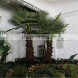 Garden/landscaping/home Decorative Indoor Palm Trees thumbnail-3