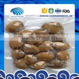 Frozen Clam Variety Surf Clam thumbnail-3