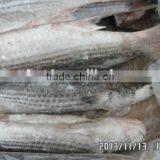 Frozen Grey Mullet 1000-1500g thumbnail-1