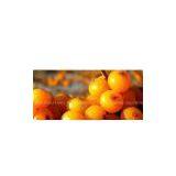 Seabuckthorn Juice Processing Production Line Equipment thumbnail-1