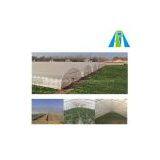 Plastic Tunnel Greenhouse for Agriculture