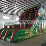 Giant Inflatable Slide