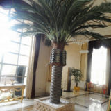 Decorative Preserved Tree Artificial Green Palm Tree for Wholesale