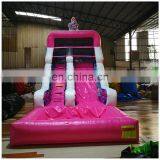 Outdoor Children Amusement Park Octopus Theme Inflatable Slide With Pool On Sale thumbnail-5