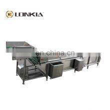 High Water Spraying Type Fruit Washer Price/ Coffee Bean Cleaning Machine thumbnail-1