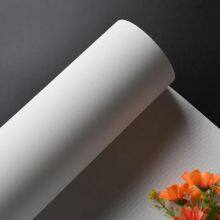 280gsm Hand-painted 100% Cotton Oil Canvas Stretched Canvas Roll for Artist thumbnail-2