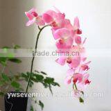 High Simulation Butterfly Orchid a Plastic Handle Great Branches 11 Head Simulation Flowers/wedding Decoration thumbnail-1