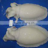 FROZEN CUTTLEFISH WHOLE CLEANED I F thumbnail-5
