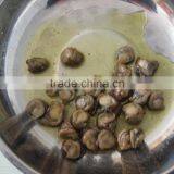 High Quality Canned Boiled Scallops With Brine thumbnail-2