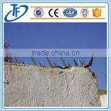 Low Price Razor Barbed Wire Anti Climb Spikes thumbnail-1