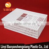 chiken price list plastic chicken coops for hens cages