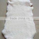 Top quality natural white Rex Rabbit Fur Pelt