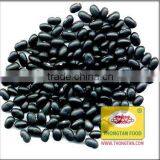 Black Beans thumbnail-1