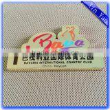 Factory Supply Zinc Alloy Gold Custom Metal Logo Plate