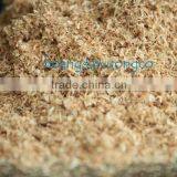 COMPRESSED WOOD SAWDUST thumbnail-1