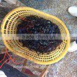 Fine Hair Frame Metal Leg Sunglasses 2015 thumbnail-3