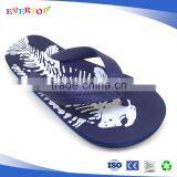 2017 Fujian Wholesale High Quality Footwear Beach Infant Slippers Kinds of Flip Flops Sport Shoes of Little Boys