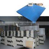 Customized Floor Scale for Animals thumbnail-1