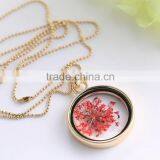 Beautiful Real Flower Necklace for Women Gold Chain Glass Bottle Wishing Pendant Plant Specimens Fancy Necklace thumbnail-2