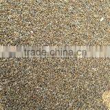 Millet Seeds Pearl Millet Bajra New 2015 thumbnail-4