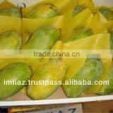 Best Sindhri Mango From Pakistan
