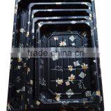 Plastic Sushi Box Sushi Products thumbnail-6