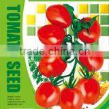 Small Tomato Seeds,red Tomatos,best Quality Seeds