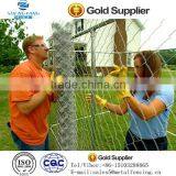 PVC Coated Wire Mesh and Chain Link Fence for Fence