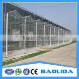 Commercial Greenhouse thumbnail-2