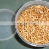 Freeze Dried Mealworm for Backyard Chicken thumbnail-6