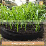 Home Garden Balcony Garden Pots of Organic Vegetables Planting Large Garden Pots thumbnail-2