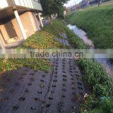 Polypropylene Sheet Ground Cover Fabric thumbnail-4